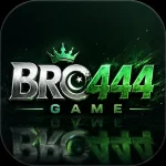 BRO444 Game