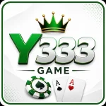 Y333 Game
