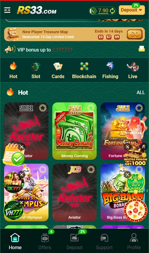 RS33